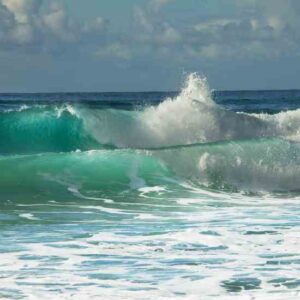 The Future of Wave Energy Image